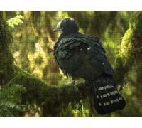Jigsaw Puzzle 2000 Piece, Bird Jungle Puzzles for Adults Puzzle Games Educational Game Jigsaws Puzzles for Adults, Fun Challenging Family Game Activities, for Wall Decor Gifts R1KH-639