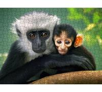 Jigsaw Puzzle 2000 Piece, Monkey Animals Puzzles for Adults Puzzle Games Educational Game Jigsaws Puzzles for Adults, Fun Challenging Family Game Activities, for Wall Decor Gifts R1KH-324