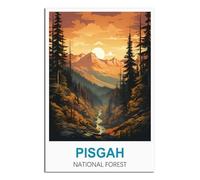 Jigsaw Puzzle 2000 Piece，Pisgah National Forest Puzzles 2000 pieces puzzles for adult children classic family puzzle indoor 100x70cm