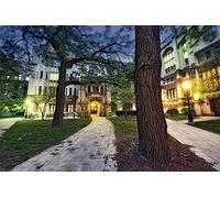 Jigsaw Puzzle 2000 Piece University Of Chicago Classic Puzzle Diy Kit Toy Unique Gift Home Decor 70x100cm