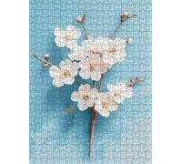 Jigsaw Puzzle 2000 Piece, White Daisy Puzzles for Adults 2000, Wooden Puzzles, Jigsaw Puzzle Games Classic Educational, The Impossible Challenge, Games and Family Activities, Creativity Gift DX0YL1-39