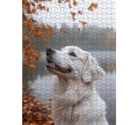Jigsaw Puzzle 2000 Piece, White Dog Puzzles for Adults 2000, Wooden Puzzles, Jigsaw Puzzle Games Classic Educational, The Impossible Challenge, Games and Family Activities, Creativity Gift DX0YL1-41
