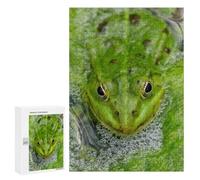 Jigsaw Puzzle 300 PCS for Adults Green Frog in Pond Adult Jigsaw Puzzle Relaxing Games Precision Cutting Deal As Gifts for The Whole Family 300 PCS