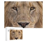 Jigsaw Puzzle 300 PCS for Adults Lion Face Close-Up Puzzles for Adults Relaxing Games Presents for Women for Birthday, Chrismas 300 PCS