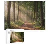 Jigsaw Puzzle 300 PCS for Adults Sunlit Forest Path Puzzles for Adults Relaxing Games Presents for Women for Birthday, Chrismas 300 PCS