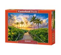 Puzzle 3000 pièces : Lever de soleil coloré à Miami, USA