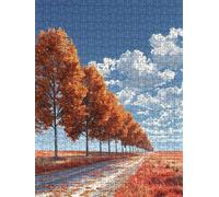 Jigsaw Puzzle 3000 Piece, Autumn Road Puzzles for Adults 3000, Jigsaw Puzzle Games Classic Educational, Wooden Puzzles, The Impossible Challenge, for Home Wall Decoration Gift BXHZW1-769