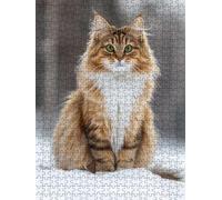 Jigsaw Puzzle 3000 Piece, Cute Little Cat Puzzles for Adults 3000, Jigsaw Puzzle Games Classic Educational, Wooden Puzzles, The Impossible Challenge, for Home Wall Decoration Gift BXHZW1-197