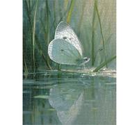 Jigsaw Puzzle 3000 Pieces for Adults Butterfly & Green Puzzle, 1T#2514 | Durable Thick Wood Construction, Precision-cut Pieces, Vibrant ink, Static Hobby, Decompress, Home Decor, Gift, 87x111cm