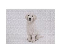 Jigsaw Puzzle 38x26cm/1000pcs for Adults Golden Retrievers Adult Jigsaw Puzzle Relaxing Games Difficult Hard for Birthday, Chrismas 38x26cm/1000pcs