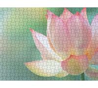 Jigsaw Puzzle 4000 Piece, Pink Lotus Flowers Puzzles for Adults Puzzle Games Educational Game Jigsaws Puzzles for Adults, Fun Challenging Family Game Activities, for Wall Decor Gifts R1KH-200