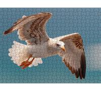Jigsaw Puzzle 4000 Piece, Seagulls Fly Puzzles for Adults Puzzle Games Educational Game Jigsaws Puzzles for Adults, Fun Challenging Family Game Activities, for Wall Decor Gifts R1KH-255