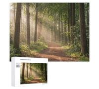 Jigsaw Puzzle 500 PCS for Adults Sunlit Forest Path Puzzles for Adults Relaxing Games Presents for Women for Birthday, Chrismas 500 PCS