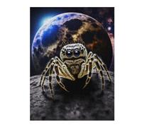 Jigsaw Puzzle 52x38cm/1000pcs for Teenagerss Moonlit Spider Encounter Puzzle for Adults Hands-on Game Precision Cutting Deal As Gifts for The Whole Family 52x38cm/1000pcs