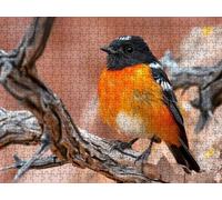 Jigsaw Puzzle 6000 Piece, Bird Orange Puzzles for Adults Puzzle Games Educational Game Jigsaws Puzzles for Adults, Fun Challenging Family Game Activities, for Wall Decor Gifts R1KH-636