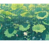 Jigsaw Puzzle 6000 Piece, Pond Lotus Puzzles for Adults Puzzle Games Educational Game Jigsaws Puzzles for Adults, Fun Challenging Family Game Activities, for Decompression and Wall Decor Gifts R1KH-82