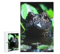 Jigsaw Puzzle for Adults, 1000 PCS, Featuring Close-up of An Alligator in Water, A Satisfying Project for Experienced Puzzlers, for Indoor Play