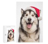 Jigsaw Puzzle for Adults 1000 PCS Festive Alaskan Malamute with Santa Hat Teenagers Puzzles Brain Teaser Game Analysis And Logic for Is Ideal As A Gift 1000 PCS