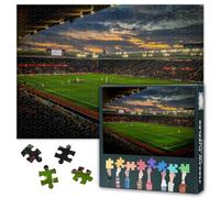 Jigsaw Puzzle for Adults - 1000 Piece St Mary's Stadium - Southampton Stadium Difficult Challenging Puzzles for Bedroom Decor & Friends Gifts 50x70cm