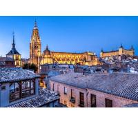 Jigsaw Puzzle for Adults 1000 Pieces Beautiful Cathedral of Toledo under the Night Sky in Spain, Toledo Castle, Mj381TY 38x52cm