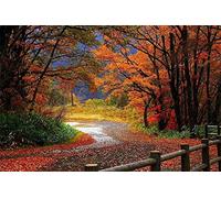 Jigsaw Puzzle for Adults, 1000 Pieces for Adults, Autumn Leaves, Grass, Nature, Assembly, Home Decoration, Toy, Game, Gift 50x70CM