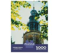Jigsaw Puzzle for Adults 1000 Pieces Groningen Teenager Puzzles Fun Games Staycation Kill Time for Is Ideal As A Gift 52x38cm/1000pcs