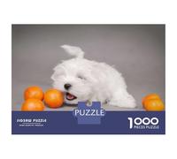 Jigsaw Puzzle for Adults 1000 Pieces Maltese Puppy Jigsaw Puzzle Relaxing Games Difficult Challenge Unique Gifts for Birthday And Christmas 70x50cm/1000pcs