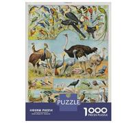 Jigsaw Puzzle for Adults 1000 Pieces, OISEAUX Artwork, Relaxing Puzzle Experience, Christmas Puzzle Collection, Precision Cut Pieces, 70x50cm/1000pcs