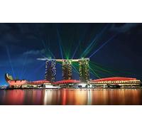 Jigsaw Puzzle for Adults 1000 Pieces Singapore Gardens by The Bay Lights Home Decoration Toy Game Great Educational Game for Kids Mj474TY 50x70cm