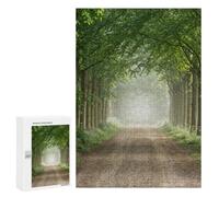 Jigsaw Puzzle for Adults, 300 PCS, Featuring Misty Forest Road Lined with Trees, Classic Jigsaw Entertainment for The Home, for Creative Downtime