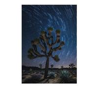 Jigsaw Puzzle for Adults 38x26cm/1000pcs Joshua Tree Starry Night Jigsaw for Adults Relaxing Games Stress Reliever Unique Gifts for Birthday And Christmas 38x26cm/1000pcs