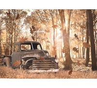 Jigsaw Puzzle for Adults Farm Old Car and Barn Autumn Forest Challenging Educational Game Party Activities Toys Gifts Wooden Puzzles Modern Home Decoration_500pcs