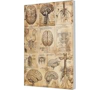 Jigsaw Puzzle for Adults Guide to Understanding The Human Brain,Campus Corridors,Classroom Wall Decor,Guide to Understanding The Human Brain Teaching Paintings Decor_300pcs
