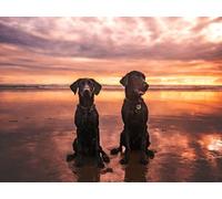 Jigsaw Puzzle for Adults - Labrador Retriever Cute Dogs Playing on The Beach Ocean Sunrise Sunset Wooden Challenging Gift Children Friend_300pcs