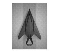 Jigsaw Puzzle for Adults, Lockheed F117 Nighthawk, 500 PCS