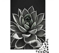 Jigsaw Puzzle for Adults, Minimal Succulent, 1000 Pieces, 70x50cm/1000pcs; Smooth White Cardboard Pieces; Tabletop Entertainment at Home