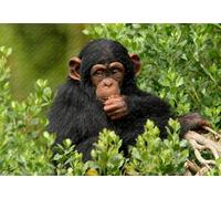 Jigsaw Puzzle for Adults Monkey Gorilla Portrait Wall Displays Entertainment Home Decoration,'s Intellectual Educational Toy Best Gifts_300pcs