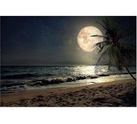 Jigsaw Puzzle for Adults Moon Fantasy Series Puzzle Wooden Scenic Ocean Landscape Beach Puzzles an Educational Toys and Fun Game for Eldersren Family and Friends_300pcs