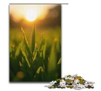 Jigsaw Puzzle for Adults Morning Dew Sparkles on The Grass 1000 Pieces Puzzle Great Gift Suitable for And Teenager 14 And Up 1000 PCS(38x26cm)