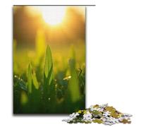 Jigsaw Puzzle for Adults Morning Dew Sparkles on The Grass 1000 Pieces Puzzle Great Gift Suitable for And Teenager 14 And Up 1000 PCS(38x26cm)