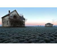 Jigsaw Puzzle for Adults Old Barn- Abandoned Farmhouse in The Middle of Fields - Country Farm Landscape an Challenging Educational Fun for Eldersren Family and Friends_500pcs