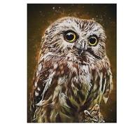 Jigsaw Puzzle for Adults Owl 500 Piece Suitable for Children over 12 Years Old Wooden Puzzles 55×41cm