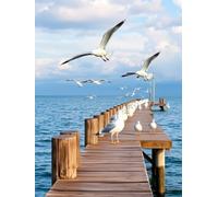 Jigsaw Puzzle for Adults Seagulls on Pier Happier Than a Seagull Fun Puzzle Educational Family Game Toys Adults Home Decoration Colorful Puzzle Gifts_1000pcs
