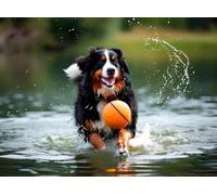 Jigsaw Puzzle for Adults Underwater Dogs - Bernese Mountain Dog in Play Ball Fun Educational Family Game Preschool Toys Adults Home Decoration Colorful Puzzle Gifts_1000pcs