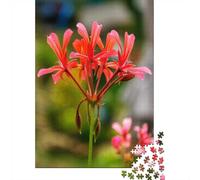 Jigsaw Puzzle for Adults, Vibrant Red Geranium Flower Close-Up, 1000 Pieces, 52x38cm/1000pcs; Smooth White Cardboard Pieces; for Calm Concentration at Home