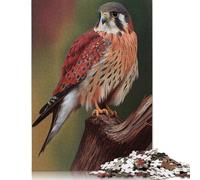 Jigsaw Puzzle For American Kestrel Falcon 500 Piece Jigsaw Puzzles for Adults Wooden Jigsaw Puzzles for Adults & Stress Reliever 500pcs (52x38cm)