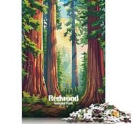 Jigsaw Puzzle for Redwood National Park Illustration 500 Piece Jigsaw Puzzles Wooden Jigsaw for Adults & Challenge Family 500pcs (52x38cm)
