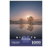 Jigsaw Puzzle for Teenagers 1000 Pieces Niigata Rice Fields Adult Jigsaw Relaxing Games Home Decoration Unique Gifts for Birthday And Christmas 38x26cm/1000pcs