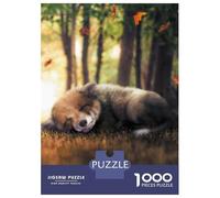 Jigsaw Puzzle for Teenagers 1000 Pieces The Sleeping Fox Cub Jigsaws for Adults Hands-on Game Enhance Memory Parent-child Interaction 38x26cm/1000pcs