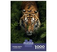 Jigsaw Puzzle for Teenagers 1000 Pieces Tiger Walking in Grass Adult Puzzles Toy Wall Decor But Fun And Humorous for Is Ideal As A Gift 38x26cm/1000pcs